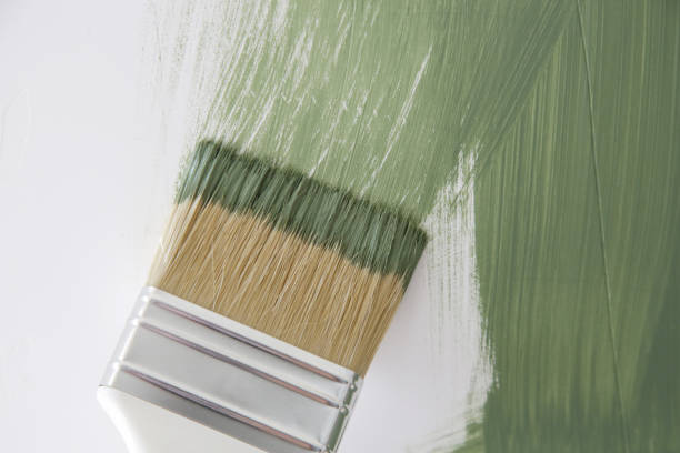 Mold Remediation for Vacation Homes in Blue Ridge, GA