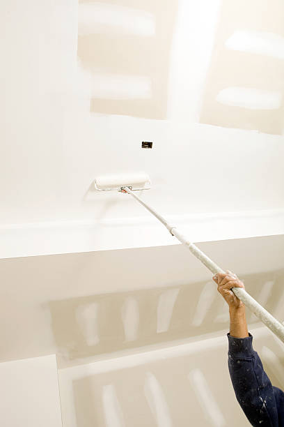 Blue Ridge, GA Mold Removal Company