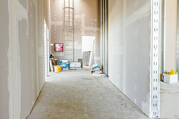 Best Black Mold Removal  in Blue Ridge, GA